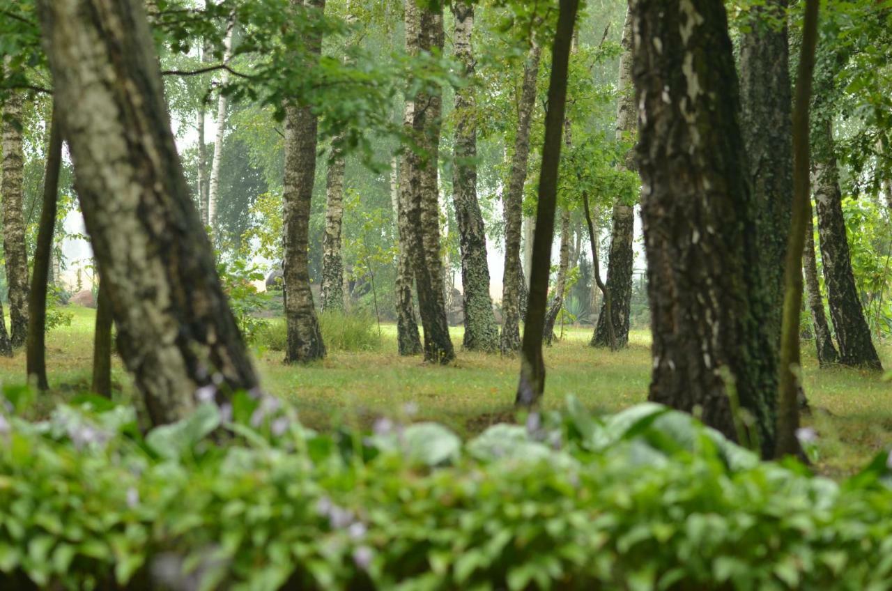 Вілла Zofijowka Осякув Екстер'єр фото